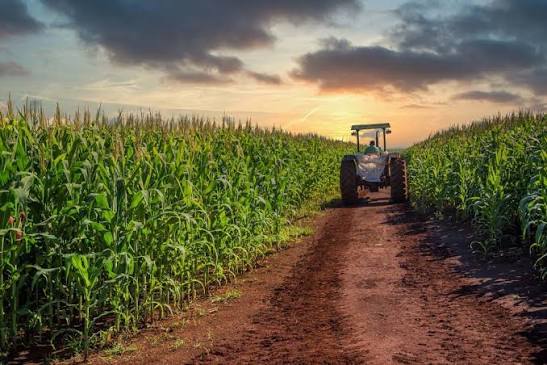 Agriculture Engineering